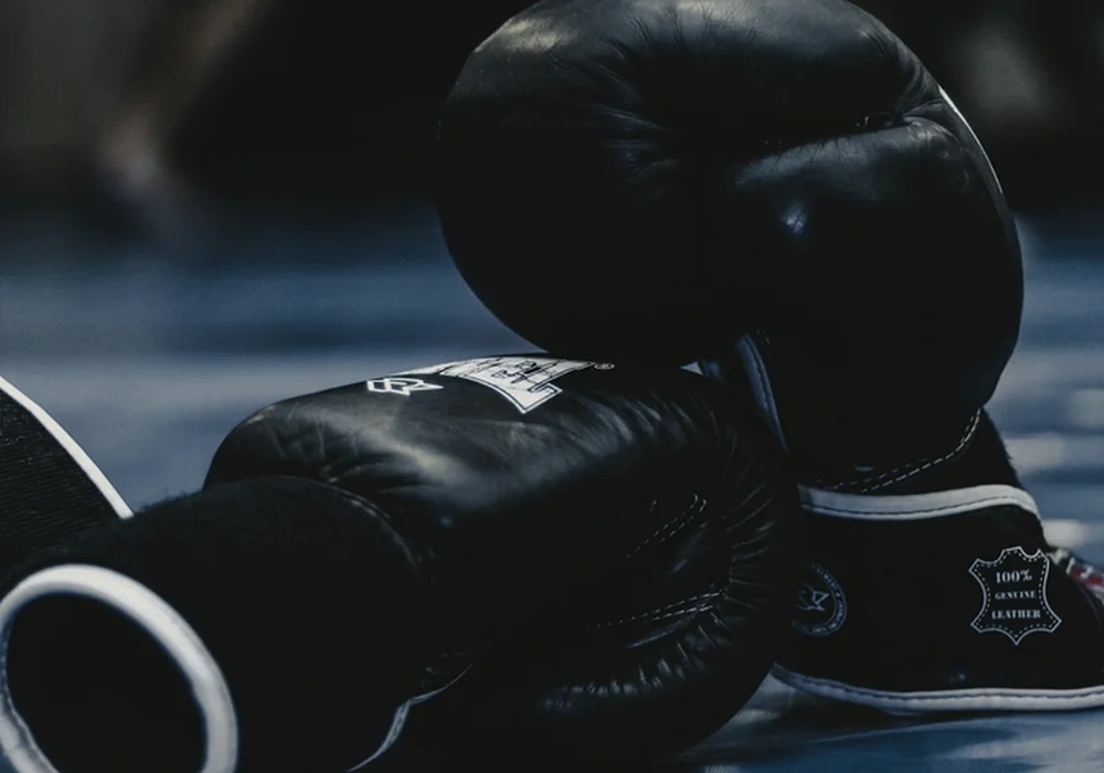 Boxing gloves and kickboxing equipment